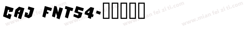 CAJ FNT54字体转换